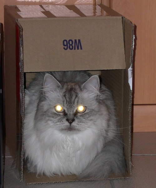 Dämonische Shiva in einer Schachtel